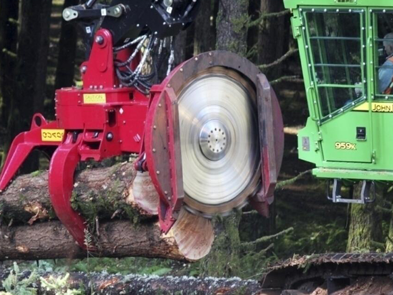 Forestry & Mulcher Teeth